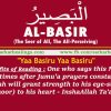 Ya Basir Taweez for Eyes will remain healthy, Taweez for Protection, Amulet for eyes, Amulet Protection