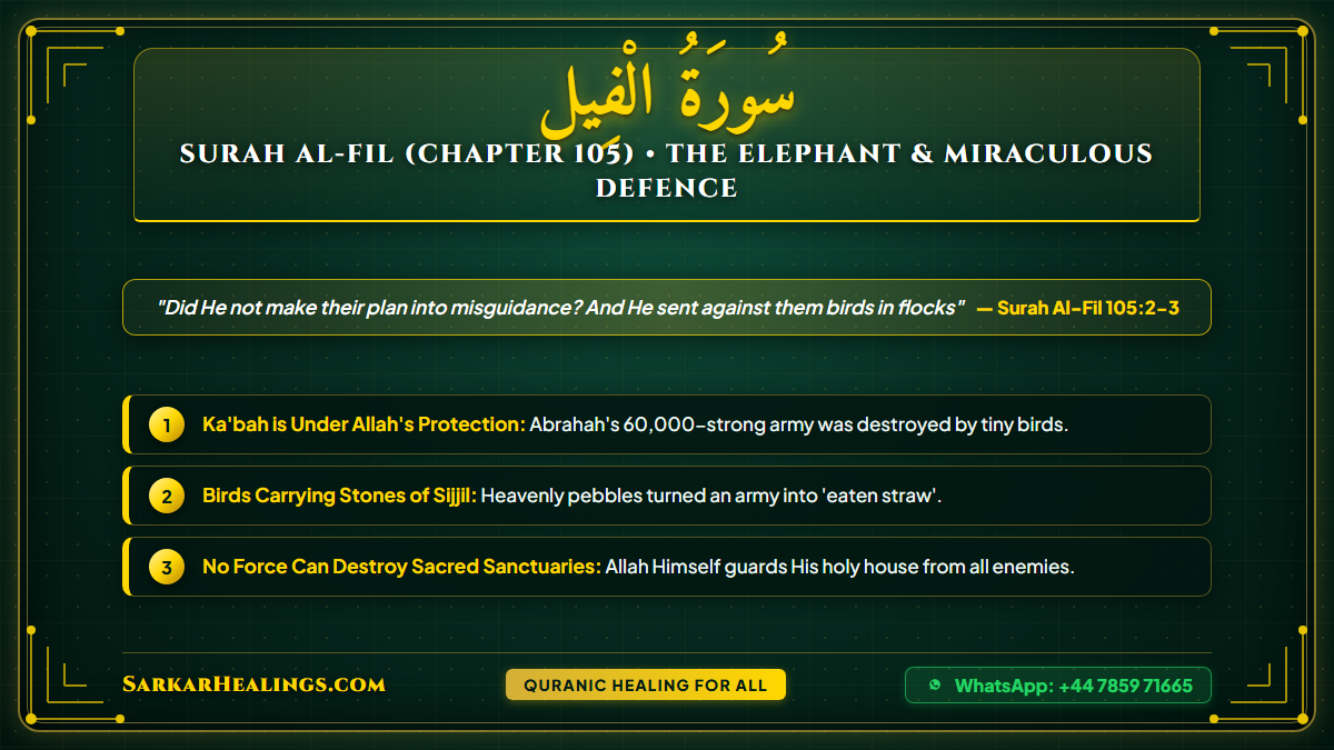 Surah Al-Fil Elephant Army Abrahah Makkah Birds Sijjil Miracle Card | Sarkar Healings